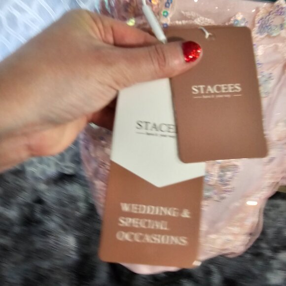 Stacee Embroidered Formal Gown – NWT – Size 0 / 32 - Picture 6 of 6